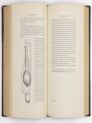 The birds of America, from drawings made in the United States and their territories. By John James Audubon, F.R.S., &c., &c. Vol. I [-Vol. II, Vol. III, Vol. IV, Vol. V, Vol. VI, Vol. VII, Vol. VIII].