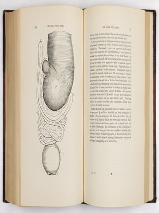 The birds of America, from drawings made in the United States and their territories. By John James Audubon, F.R.S., &c., &c. Vol. I [-Vol. II, Vol. III, Vol. IV, Vol. V, Vol. VI, Vol. VII, Vol. VIII].