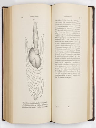 The birds of America, from drawings made in the United States and their territories. By John James Audubon, F.R.S., &c., &c. Vol. I [-Vol. II, Vol. III, Vol. IV, Vol. V, Vol. VI, Vol. VII, Vol. VIII].