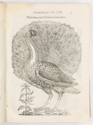 Ulyssis Aldrovandi philosophi et medici bononiensis ornithologiae tomus alter ademinentissim principem Alexandrum Perettum S.R.E. Card. Montalu Vicecancell. Et Bononi&aelig; legatum Cū indice copiosissimo variarum linguarum. Sumptibus M. Antonii Berni&aelig; Bibliopol. Bonon