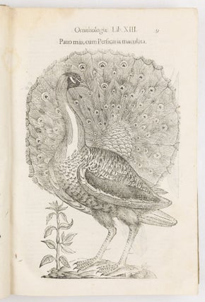 Ulyssis Aldrovandi philosophi et medici bononiensis ornithologiae tomus alter ademinentissim principem Alexandrum Perettum S.R.E. Card. Montalu Vicecancell. Et Bononiæ legatum Cū indice copiosissimo variarum linguarum. Sumptibus M. Antonii Berniæ Bibliopol. Bonon
