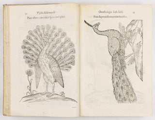 Ulyssis Aldrovandi philosophi et medici bononiensis ornithologiae tomus alter ademinentissim principem Alexandrum Perettum S.R.E. Card. Montalu Vicecancell. Et Bononiæ legatum Cū indice copiosissimo variarum linguarum. Sumptibus M. Antonii Berniæ Bibliopol. Bonon
