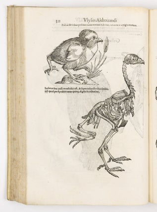 Ulyssis Aldrovandi philosophi et medici bononiensis ornithologiae tomus alter ademinentissim principem Alexandrum Perettum S.R.E. Card. Montalu Vicecancell. Et Bononiæ legatum Cū indice copiosissimo variarum linguarum. Sumptibus M. Antonii Berniæ Bibliopol. Bonon