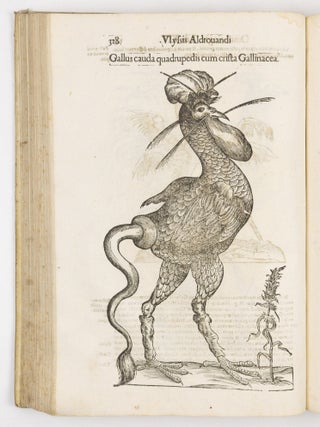 Ulyssis Aldrovandi philosophi et medici bononiensis ornithologiae tomus alter ademinentissim principem Alexandrum Perettum S.R.E. Card. Montalu Vicecancell. Et Bononi&aelig; legatum Cū indice copiosissimo variarum linguarum. Sumptibus M. Antonii Berni&aelig; Bibliopol. Bonon