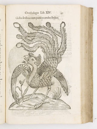 Ulyssis Aldrovandi philosophi et medici bononiensis ornithologiae tomus alter ademinentissim principem Alexandrum Perettum S.R.E. Card. Montalu Vicecancell. Et Bononi&aelig; legatum Cū indice copiosissimo variarum linguarum. Sumptibus M. Antonii Berni&aelig; Bibliopol. Bonon