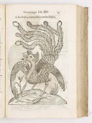 Ulyssis Aldrovandi philosophi et medici bononiensis ornithologiae tomus alter ademinentissim principem Alexandrum Perettum S.R.E. Card. Montalu Vicecancell. Et Bononiæ legatum Cū indice copiosissimo variarum linguarum. Sumptibus M. Antonii Berniæ Bibliopol. Bonon