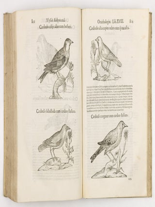 Ulyssis Aldrovandi philosophi et medici bononiensis ornithologiae tomus alter ademinentissim principem Alexandrum Perettum S.R.E. Card. Montalu Vicecancell. Et Bononi&aelig; legatum Cū indice copiosissimo variarum linguarum. Sumptibus M. Antonii Berni&aelig; Bibliopol. Bonon