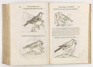 Ulyssis Aldrovandi philosophi et medici bononiensis ornithologiae tomus alter ademinentissim principem Alexandrum Perettum S.R.E. Card. Montalu Vicecancell. Et Bononiæ legatum Cū indice copiosissimo variarum linguarum. Sumptibus M. Antonii Berniæ Bibliopol. Bonon