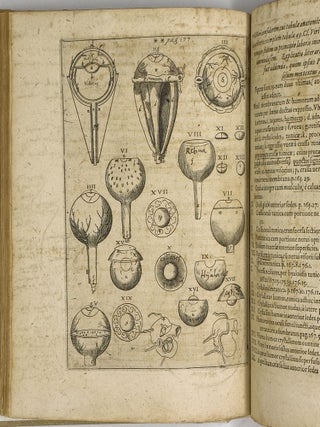 Ad Vitellionem Paralipomena,