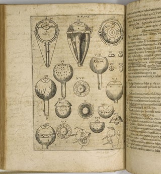 Ad Vitellionem Paralipomena,
