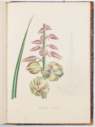 Flora Exotica. Die Prachtpflanzen des Auslandes, in naturgetreuen Abbildungen herausgegeben von einer Gesellschaft von Gartenfreunden in Brüssel, mit erläuternden Text und Anleitung zur Kultur von H. G. Ludwig Reichenbach, Königl. Sächs. Hofrathe. Doctor der Philosophie. . .