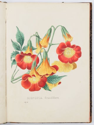 Flora Exotica. Die Prachtpflanzen des Auslandes, in naturgetreuen Abbildungen herausgegeben von einer Gesellschaft von Gartenfreunden in Brüssel, mit erläuternden Text und Anleitung zur Kultur von H. G. Ludwig Reichenbach, Königl. Sächs. Hofrathe. Doctor der Philosophie. . .