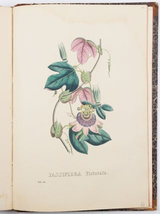 Flora Exotica. Die Prachtpflanzen des Auslandes, in naturgetreuen Abbildungen herausgegeben von einer Gesellschaft von Gartenfreunden in Brüssel, mit erläuternden Text und Anleitung zur Kultur von H. G. Ludwig Reichenbach, Königl. Sächs. Hofrathe. Doctor der Philosophie. . .