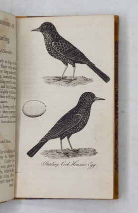 A natural history of English song-birds, including such foreign birds as are usually brought over and esteemed for their singing: Their proper Management, Diseases, and Cures. To which are added, figures of the Cock, Hen, and Egg of each species, exactly copied from nature, By Mr. Eleazar Albin, and curiously engraven on copper. A new addition corrected, with several improvements, under the article of canary-birds