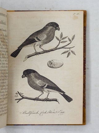 A natural history of English song-birds, including such foreign birds as are usually brought over and esteemed for their singing: Their proper Management, Diseases, and Cures. To which are added, figures of the Cock, Hen, and Egg of each species, exactly copied from nature, By Mr. Eleazar Albin, and curiously engraven on copper. A new addition corrected, with several improvements, under the article of canary-birds