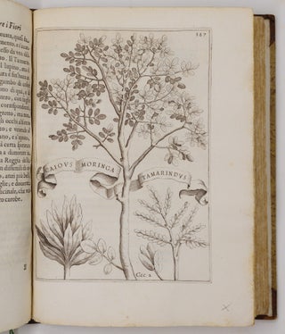 Flora overo cultura di fiori Del P. Gio: Battista Ferrari Sanese della Comp. di Giesù Distinta in Quattro Libri E trasportata dalla lingua Latina nell’ Italiana da Lodovico Aureli Perugino