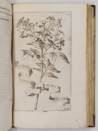 Flora overo cultura di fiori Del P. Gio: Battista Ferrari Sanese della Comp. di Gies&ugrave; Distinta in Quattro Libri E trasportata dalla lingua Latina nell&rsquo; Italiana da Lodovico Aureli Perugino