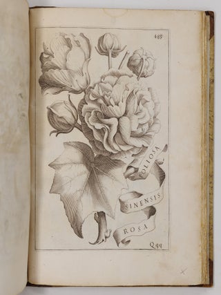 Flora overo cultura di fiori Del P. Gio: Battista Ferrari Sanese della Comp. di Gies&ugrave; Distinta in Quattro Libri E trasportata dalla lingua Latina nell&rsquo; Italiana da Lodovico Aureli Perugino