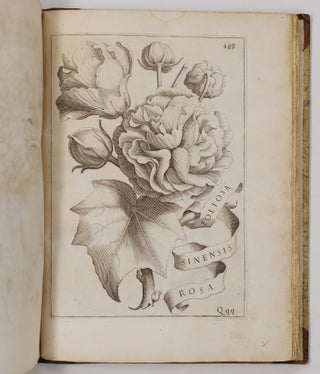 Flora overo cultura di fiori Del P. Gio: Battista Ferrari Sanese della Comp. di Giesù Distinta in Quattro Libri E trasportata dalla lingua Latina nell’ Italiana da Lodovico Aureli Perugino