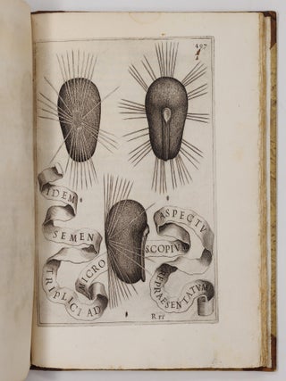 Flora overo cultura di fiori Del P. Gio: Battista Ferrari Sanese della Comp. di Gies&ugrave; Distinta in Quattro Libri E trasportata dalla lingua Latina nell&rsquo; Italiana da Lodovico Aureli Perugino