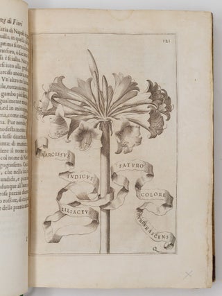 Flora overo cultura di fiori Del P. Gio: Battista Ferrari Sanese della Comp. di Gies&ugrave; Distinta in Quattro Libri E trasportata dalla lingua Latina nell&rsquo; Italiana da Lodovico Aureli Perugino