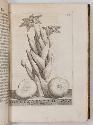 Flora overo cultura di fiori Del P. Gio: Battista Ferrari Sanese della Comp. di Gies&ugrave; Distinta in Quattro Libri E trasportata dalla lingua Latina nell&rsquo; Italiana da Lodovico Aureli Perugino
