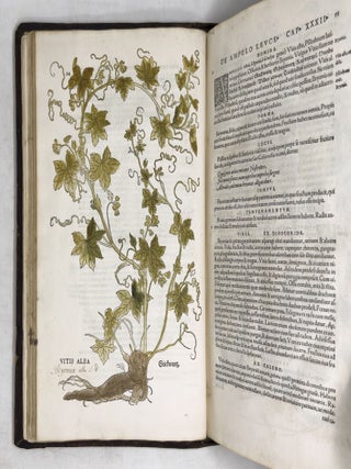 De historia stirpium commentarii insignes, maximis impensis et vigiliis elaborati, adiectis earundem vivis plusquam quingentis imaginibus, nunquam antea ad natur&aelig; imitationem artificiosius effictis & expressis, Leonharto Fuchsio medico hac nostra &aelig;tate long&egrave; clarissimo, autore. . .