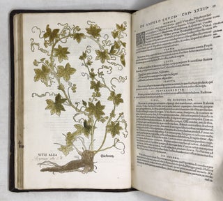 De historia stirpium commentarii insignes, maximis impensis et vigiliis elaborati, adiectis earundem vivis plusquam quingentis imaginibus, nunquam antea ad naturæ imitationem artificiosius effictis & expressis, Leonharto Fuchsio medico hac nostra ætate longè clarissimo, autore. . .