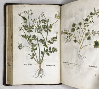 De historia stirpium commentarii insignes, maximis impensis et vigiliis elaborati, adiectis earundem vivis plusquam quingentis imaginibus, nunquam antea ad naturæ imitationem artificiosius effictis & expressis, Leonharto Fuchsio medico hac nostra ætate longè clarissimo, autore. . .