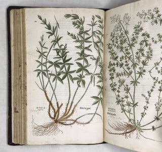 De historia stirpium commentarii insignes, maximis impensis et vigiliis elaborati, adiectis earundem vivis plusquam quingentis imaginibus, nunquam antea ad naturæ imitationem artificiosius effictis & expressis, Leonharto Fuchsio medico hac nostra ætate longè clarissimo, autore. . .