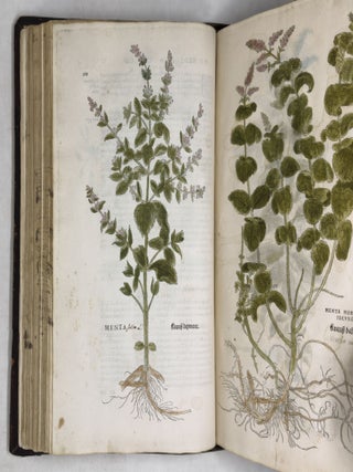 De historia stirpium commentarii insignes, maximis impensis et vigiliis elaborati, adiectis earundem vivis plusquam quingentis imaginibus, nunquam antea ad natur&aelig; imitationem artificiosius effictis & expressis, Leonharto Fuchsio medico hac nostra &aelig;tate long&egrave; clarissimo, autore. . .