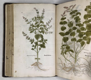 De historia stirpium commentarii insignes, maximis impensis et vigiliis elaborati, adiectis earundem vivis plusquam quingentis imaginibus, nunquam antea ad naturæ imitationem artificiosius effictis & expressis, Leonharto Fuchsio medico hac nostra ætate longè clarissimo, autore. . .