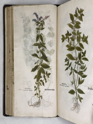 De historia stirpium commentarii insignes, maximis impensis et vigiliis elaborati, adiectis earundem vivis plusquam quingentis imaginibus, nunquam antea ad natur&aelig; imitationem artificiosius effictis & expressis, Leonharto Fuchsio medico hac nostra &aelig;tate long&egrave; clarissimo, autore. . .