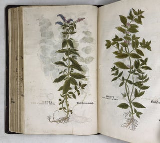 De historia stirpium commentarii insignes, maximis impensis et vigiliis elaborati, adiectis earundem vivis plusquam quingentis imaginibus, nunquam antea ad naturæ imitationem artificiosius effictis & expressis, Leonharto Fuchsio medico hac nostra ætate longè clarissimo, autore. . .