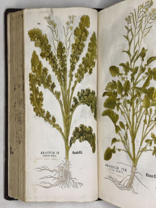 De historia stirpium commentarii insignes, maximis impensis et vigiliis elaborati, adiectis earundem vivis plusquam quingentis imaginibus, nunquam antea ad natur&aelig; imitationem artificiosius effictis & expressis, Leonharto Fuchsio medico hac nostra &aelig;tate long&egrave; clarissimo, autore. . .