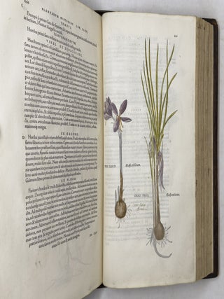 De historia stirpium commentarii insignes, maximis impensis et vigiliis elaborati, adiectis earundem vivis plusquam quingentis imaginibus, nunquam antea ad natur&aelig; imitationem artificiosius effictis & expressis, Leonharto Fuchsio medico hac nostra &aelig;tate long&egrave; clarissimo, autore. . .