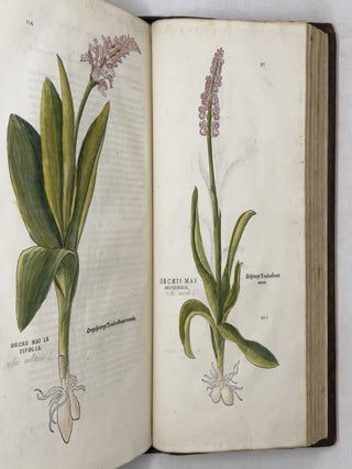 De historia stirpium commentarii insignes, maximis impensis et vigiliis elaborati, adiectis earundem vivis plusquam quingentis imaginibus, nunquam antea ad natur&aelig; imitationem artificiosius effictis & expressis, Leonharto Fuchsio medico hac nostra &aelig;tate long&egrave; clarissimo, autore. . .