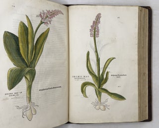 De historia stirpium commentarii insignes, maximis impensis et vigiliis elaborati, adiectis earundem vivis plusquam quingentis imaginibus, nunquam antea ad naturæ imitationem artificiosius effictis & expressis, Leonharto Fuchsio medico hac nostra ætate longè clarissimo, autore. . .
