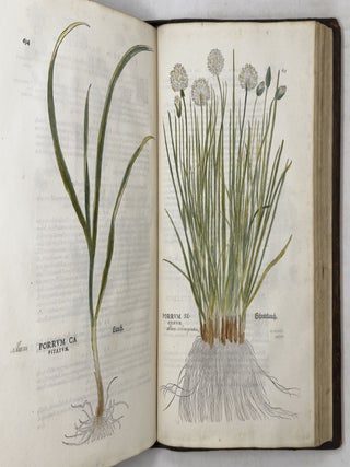 De historia stirpium commentarii insignes, maximis impensis et vigiliis elaborati, adiectis earundem vivis plusquam quingentis imaginibus, nunquam antea ad natur&aelig; imitationem artificiosius effictis & expressis, Leonharto Fuchsio medico hac nostra &aelig;tate long&egrave; clarissimo, autore. . .