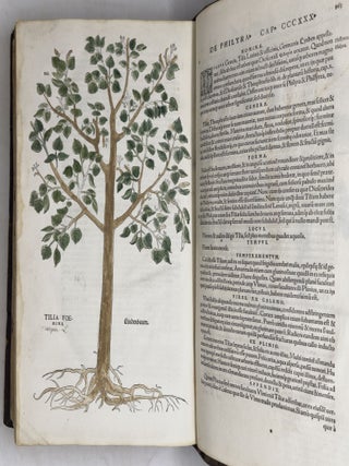 De historia stirpium commentarii insignes, maximis impensis et vigiliis elaborati, adiectis earundem vivis plusquam quingentis imaginibus, nunquam antea ad natur&aelig; imitationem artificiosius effictis & expressis, Leonharto Fuchsio medico hac nostra &aelig;tate long&egrave; clarissimo, autore. . .