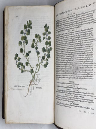 De historia stirpium commentarii insignes, maximis impensis et vigiliis elaborati, adiectis earundem vivis plusquam quingentis imaginibus, nunquam antea ad natur&aelig; imitationem artificiosius effictis & expressis, Leonharto Fuchsio medico hac nostra &aelig;tate long&egrave; clarissimo, autore. . .