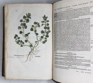 De historia stirpium commentarii insignes, maximis impensis et vigiliis elaborati, adiectis earundem vivis plusquam quingentis imaginibus, nunquam antea ad naturæ imitationem artificiosius effictis & expressis, Leonharto Fuchsio medico hac nostra ætate longè clarissimo, autore. . .