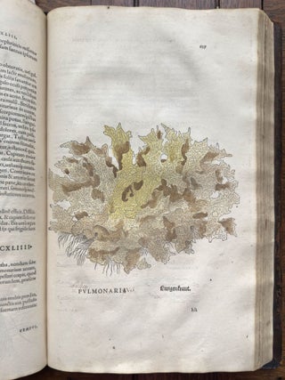 De historia stirpium commentarii insignes, maximis impensis et vigiliis elaborati, adiectis earundem vivis plusquam quingentis imaginibus, nunquam antea ad natur&aelig; imitationem artificiosius effictis & expressis, Leonharto Fuchsio medico hac nostra &aelig;tate long&egrave; clarissimo, autore. . .