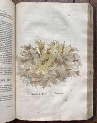 De historia stirpium commentarii insignes, maximis impensis et vigiliis elaborati, adiectis earundem vivis plusquam quingentis imaginibus, nunquam antea ad naturæ imitationem artificiosius effictis & expressis, Leonharto Fuchsio medico hac nostra ætate longè clarissimo, autore. . .