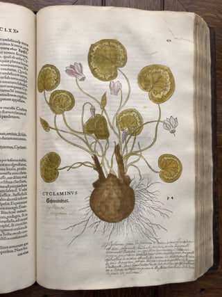 De historia stirpium commentarii insignes, maximis impensis et vigiliis elaborati, adiectis earundem vivis plusquam quingentis imaginibus, nunquam antea ad natur&aelig; imitationem artificiosius effictis & expressis, Leonharto Fuchsio medico hac nostra &aelig;tate long&egrave; clarissimo, autore. . .