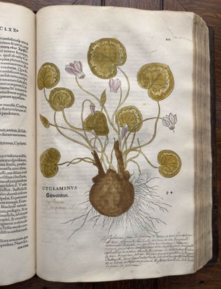 De historia stirpium commentarii insignes, maximis impensis et vigiliis elaborati, adiectis earundem vivis plusquam quingentis imaginibus, nunquam antea ad naturæ imitationem artificiosius effictis & expressis, Leonharto Fuchsio medico hac nostra ætate longè clarissimo, autore. . .
