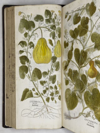 De historia stirpium commentarii insignes, maximis impensis et vigiliis elaborati, adiectis earundem vivis plusquam quingentis imaginibus, nunquam antea ad natur&aelig; imitationem artificiosius effictis & expressis, Leonharto Fuchsio medico hac nostra &aelig;tate long&egrave; clarissimo, autore. . .