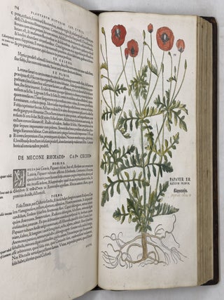 De historia stirpium commentarii insignes, maximis impensis et vigiliis elaborati, adiectis earundem vivis plusquam quingentis imaginibus, nunquam antea ad natur&aelig; imitationem artificiosius effictis & expressis, Leonharto Fuchsio medico hac nostra &aelig;tate long&egrave; clarissimo, autore. . .