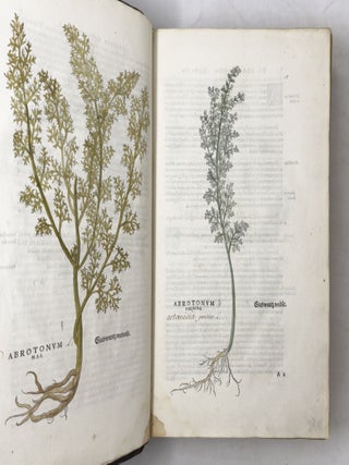 De historia stirpium commentarii insignes, maximis impensis et vigiliis elaborati, adiectis earundem vivis plusquam quingentis imaginibus, nunquam antea ad natur&aelig; imitationem artificiosius effictis & expressis, Leonharto Fuchsio medico hac nostra &aelig;tate long&egrave; clarissimo, autore. . .