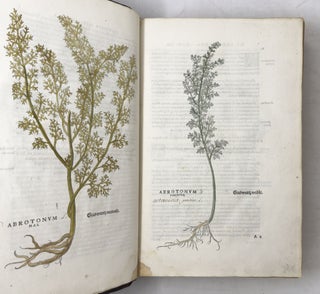 De historia stirpium commentarii insignes, maximis impensis et vigiliis elaborati, adiectis earundem vivis plusquam quingentis imaginibus, nunquam antea ad naturæ imitationem artificiosius effictis & expressis, Leonharto Fuchsio medico hac nostra ætate longè clarissimo, autore. . .